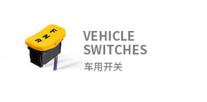 車用開(kāi)關(guān)